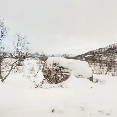 度假居 3 Bedroom In Voringsfoss