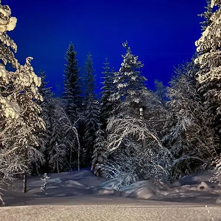 3 Bedroom In Voringsfoss Maurset